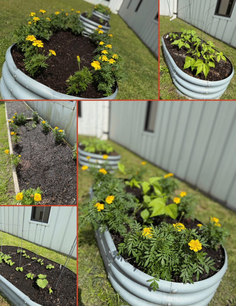 Agriculture and Arts Enrichment